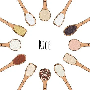 Set of spoons with rice. Top view. Round frame Stock-Illustration