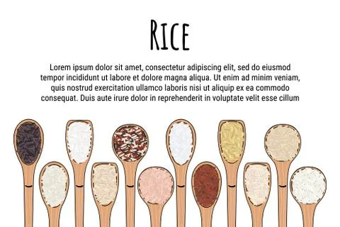 Set of spoons with rice. Top view. Border food frame Stock Illustration