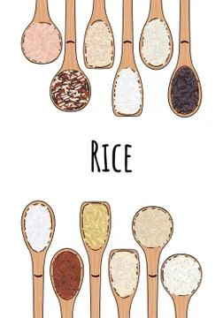 Set of spoons with rice. Top view. Border food frame Stock Illustration