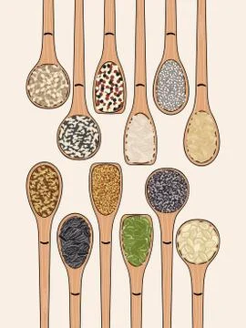 Set of spoons with seeds. Top view. Kitchen, cooking poster Stock Illustration
