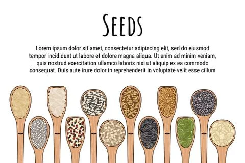 Set of spoons with seeds. Top view. Border food frame. Stock Illustration
