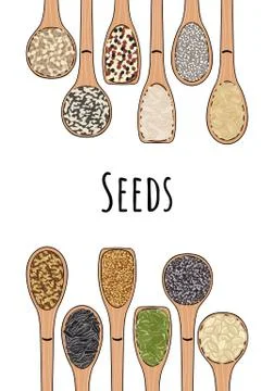 Set of spoons with seeds. Top view. Border food frame. Stock Illustration