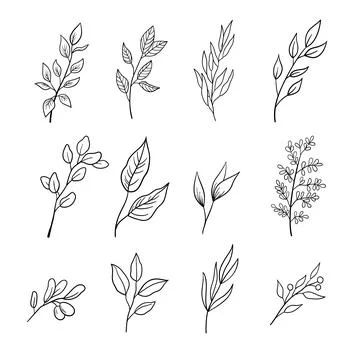 Set of sprigs with leaves. A collection of different leaves on branches in Stock Illustration
