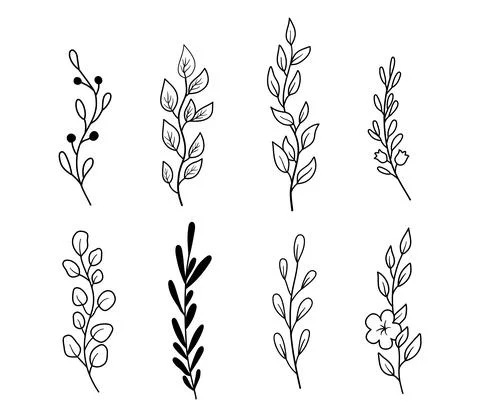 Set of sprigs with leaves. A collection of different leaves on branches in Stock Illustration