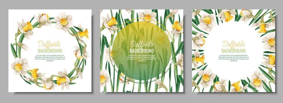 Set of Spring background with daffodils. Postcard, banner for Easter. Spring  Stock Illustration