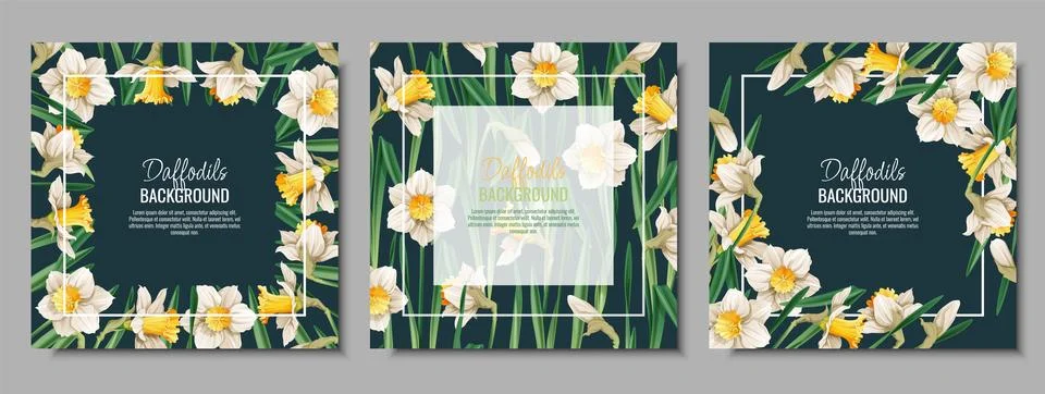 Set of Spring background with daffodils. Postcard, banner for Easter. Spring  스톡 일러스트