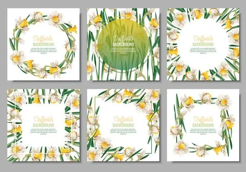 Set of Spring background with daffodils. Postcard, banner for Easter. Sprin.. Stock Illustration