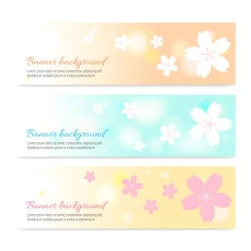 Set of spring banner background with cherry blossom on soft tone color Stock Illustration