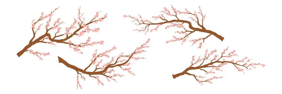 Set of spring blooming tree branches, tree branch with pink flowers. Sakura or Stock Illustration