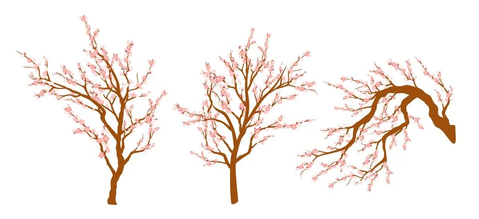 Set of spring blooming tree branches, tree branch with pink flowers. Sakura or Stock Illustration