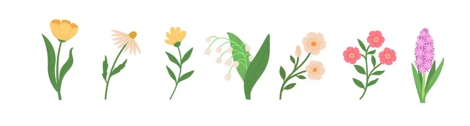 Set of spring blossom flowers vector illustrations. Hand draw style 库存插图