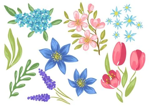 Set of spring flowers. Beautiful decorative natural plants. Stock Illustration