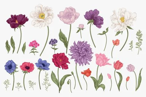 Set with spring flowers. Stock Illustration