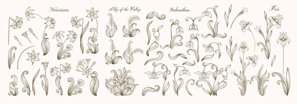 Set of spring flowers: iris, lily of the valley, snowdrop, daffodil. Illustrazione stock