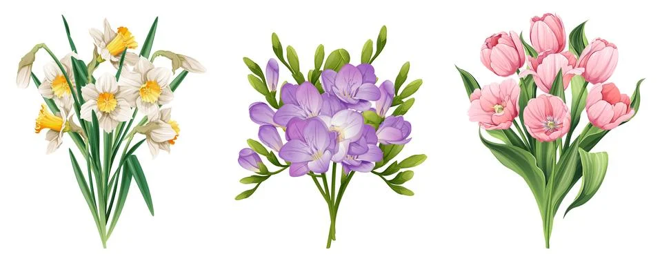 Set of spring flowers on isolated background. Bouquet of daffodils, tulips,.. Stock Illustration
