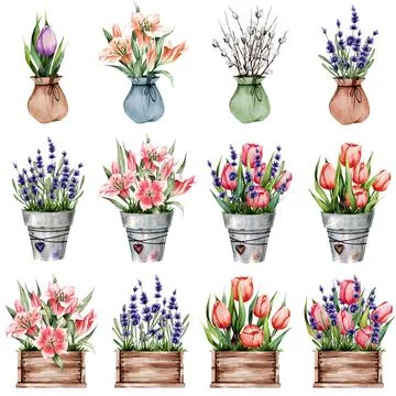 A set of spring flowers in wooden boxes, pots, . Lily, tulips, lavender. Grea Stock Illustration