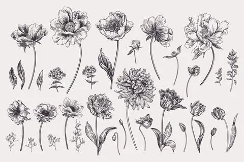 Set with spring garden flowers. Stock-Illustration