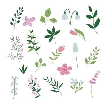 Set of spring handdrawn plants and flowers. Ilustración de archivo