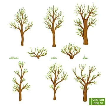 Set of spring trees, bushes イラスト素材