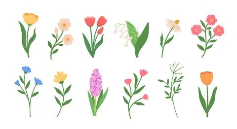 Set of spring wild flowers vector illustrations. Hand draw style Stock-Illustration