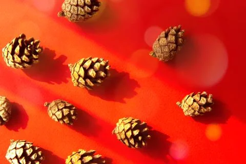 Set of spruce cones on red background with contrasting shadows Stock Photos