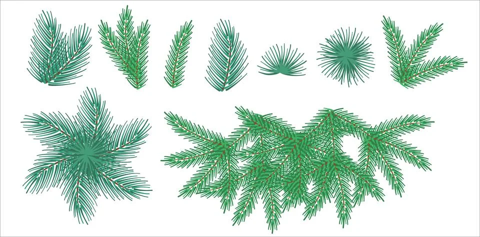 A set of spruce or pine branches. Illustration for decorating Christmas cards Stock Illustration