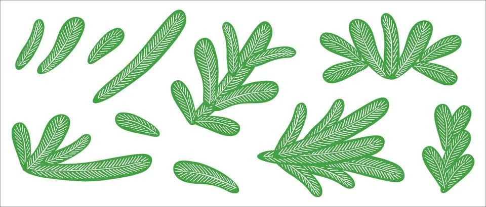 A set of spruce or pine branches. Illustration for decorating Christmas cards Stock Illustration