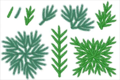 A set of spruce or pine branches. Illustration for decorating Christmas cards Stock Illustration