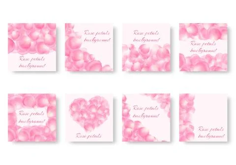 Set of square backgrounds with pink petals Illustrazione stock