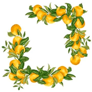 Set of square frame template elements in design vector illustration with oran Stock Illustration