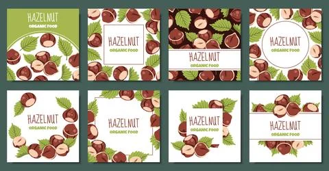 Set of Square Frame Templates with Hazelnuts and Green Leaves in Flat Style.. Illustrazione stock