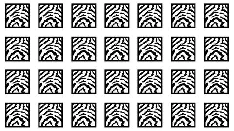 Set of square zebra patterns on white background Illustrazione stock