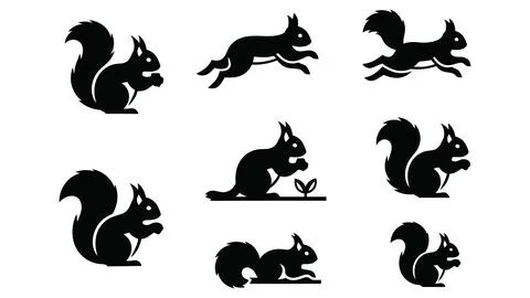 Set of squirrel vector silhouette icons in various poses. Illustrazione stock