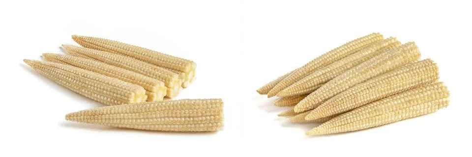Set of stacks of corn on a white background. Baby corn isolated on white uniform Stock Photos