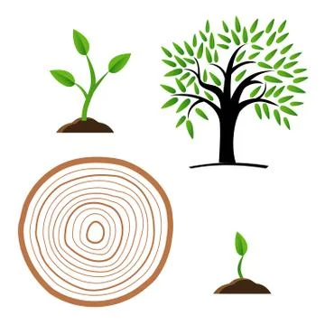Set Stages of tree growth from the germ to the stump, Stock Illustration