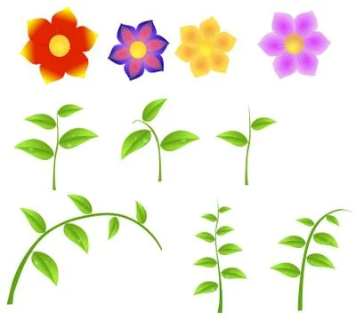 Set of stalks with flowers, design element for spring isolated on a white bac Stock Illustration