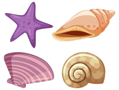 Set of starfish and seashells on white background 스톡 일러스트