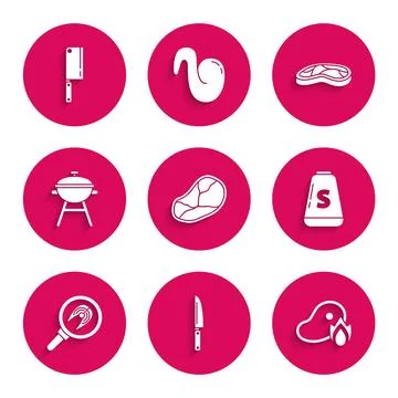 Set Steak meat, Knife, Grilled steak and fire flame, Salt, Fish in frying p.. Stock Illustration