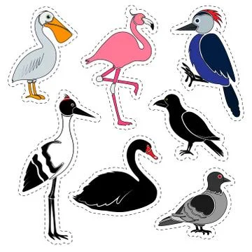 Set of stickers. Different birds isolated on white background. Illustrazione stock