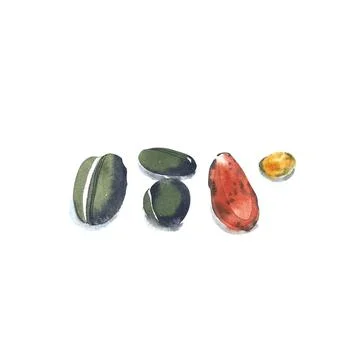 Set of the stone and cliff drawing in watercolor on white background. Stock Illustration