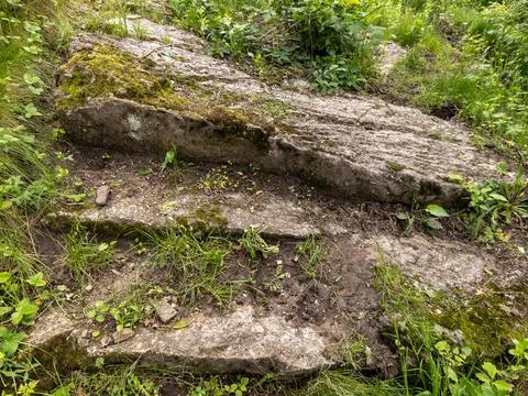 A set of stone steps in the middle of a grassy area Stock Photos