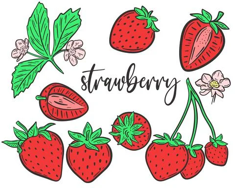 Set strawberries hand drawn vector illustration Stock Illustration