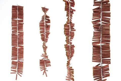 Set of a string of Chinese firecrackers on the rope isolated over a white b.. Stock Photos