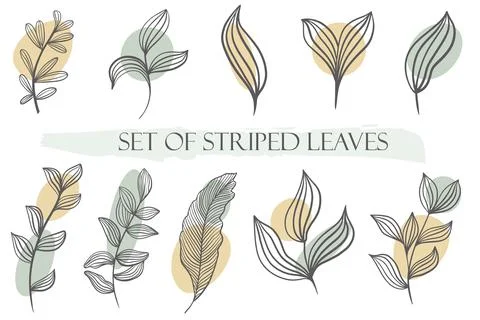 Set of striped leaves, vector. Various stained sheets. イラスト素材
