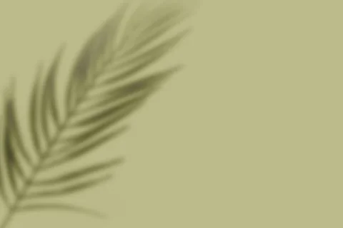 Set studio background Stock Illustration