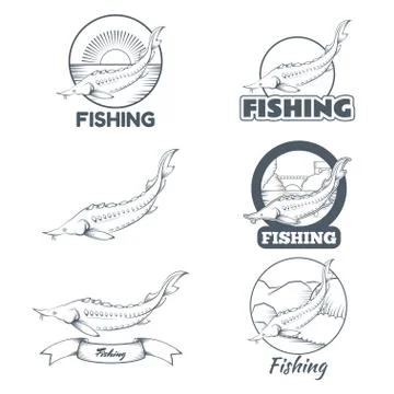Set of sturgeon banners Stock Illustration