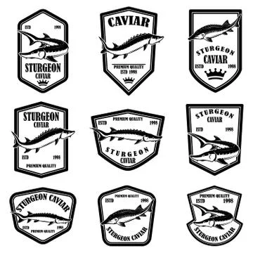 Set of sturgeon caviar labels. Design element for logo, label, emblem, sign. Stock Illustration