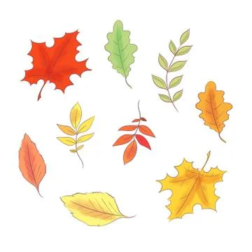 Set in the style of hand drawing autumn and leaves. Stock Illustration