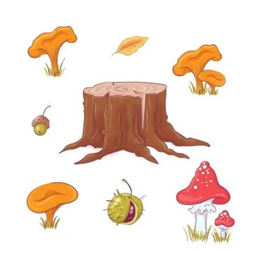 Set in the style of hand drawing forest stump, mushrooms and berries, autumn and Stock Illustration