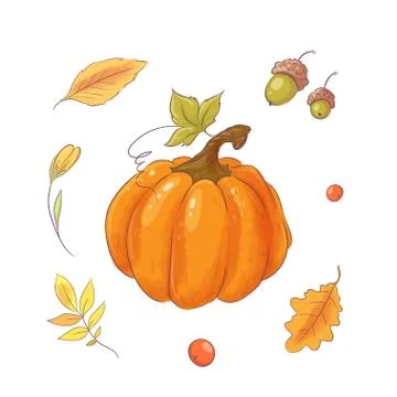 Set in the style of hand drawing pumpkin, autumn and leaves. Stock Illustration